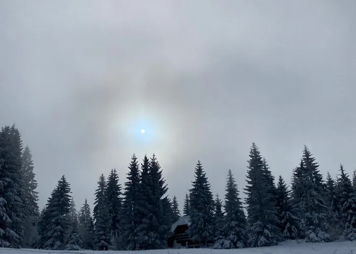 شقة Zen Konjska Reka